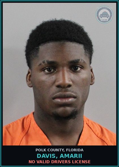 CCW arrest card for DAVIS, AMARII in Polk County: No Valid Drivers License