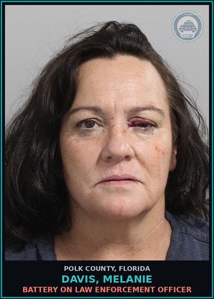 CCW arrest card for DAVIS, MELANIE in Polk County: Battery on Law Enforcement Officer