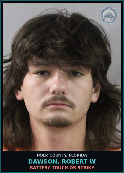 CCW arrest card for DAWSON, ROBERT W in Polk County: Battery Touch Or Strike