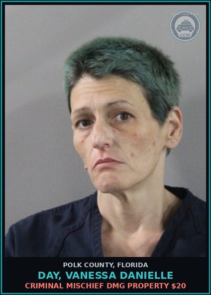 CCW arrest card for DAY, VANESSA DANIELLE in Polk County: Criminal Mischief Dmg Property $20