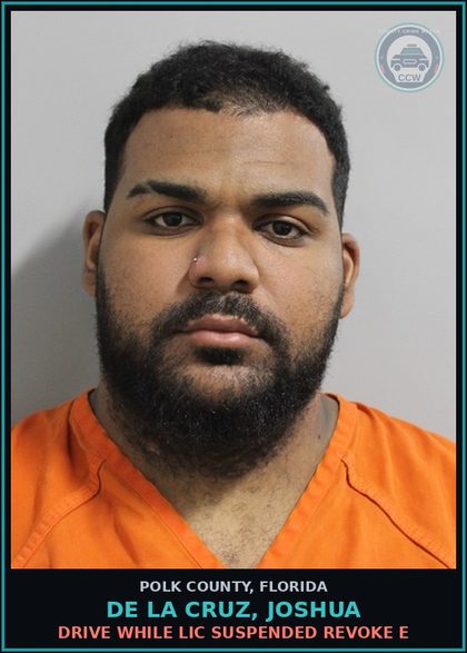 CCW arrest card for DE LA CRUZ, JOSHUA in Polk County: Drive While Lic Suspended Revoke E