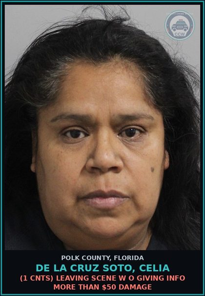 CCW arrest card for DE LA CRUZ SOTO, CELIA in Polk County: (1 cnts) LEAVING SCENE W O GIVING INFO MORE THAN $50 DAMAGE