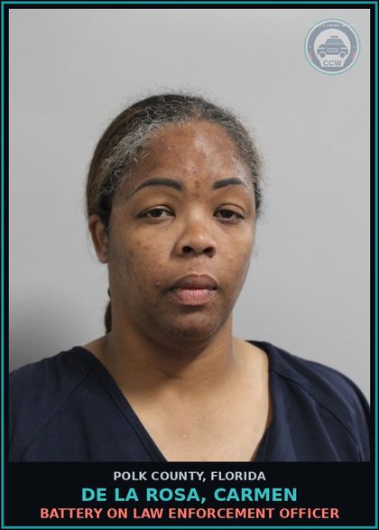 CCW arrest card for DE LA ROSA, CARMEN in Polk County: Resist Officer w o Viol.