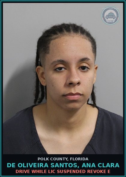 CCW arrest card for DE OLIVEIRA SANTOS, ANA CLARA in Polk County: Drive While Lic Suspended Revoke E