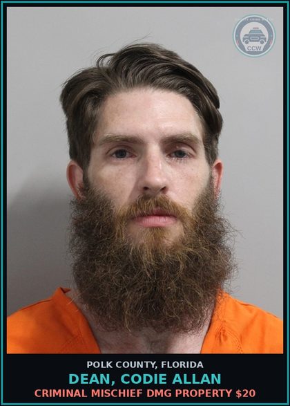 CCW arrest card for DEAN, CODIE ALLAN in Polk County: Criminal Mischief Dmg Property $20
