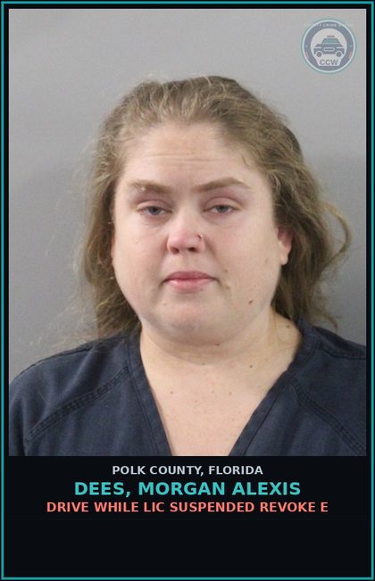 CCW arrest card for DEES, MORGAN ALEXIS in Polk County: Drive While Lic Suspended Revoke E
