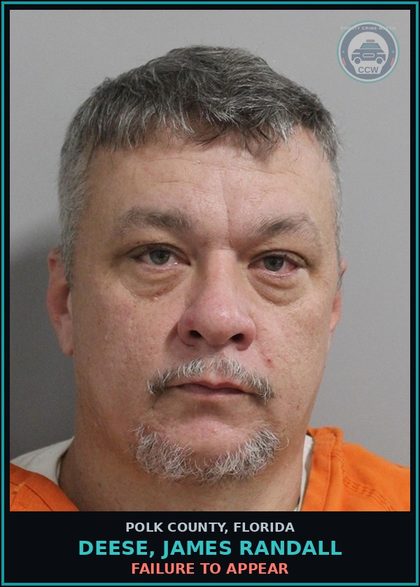 CCW arrest card for DEESE, JAMES RANDALL in Polk County: FAILURE TO APPEAR