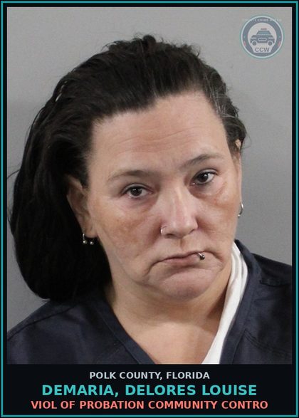 CCW arrest card for DEMARIA, DELORES LOUISE in Polk County: Viol of Probation Community Contro