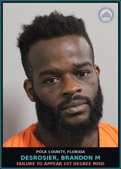CCW arrest card for DESROSIER, BRANDON M in Polk County: FAILURE TO APPEAR 1st Degree Misd