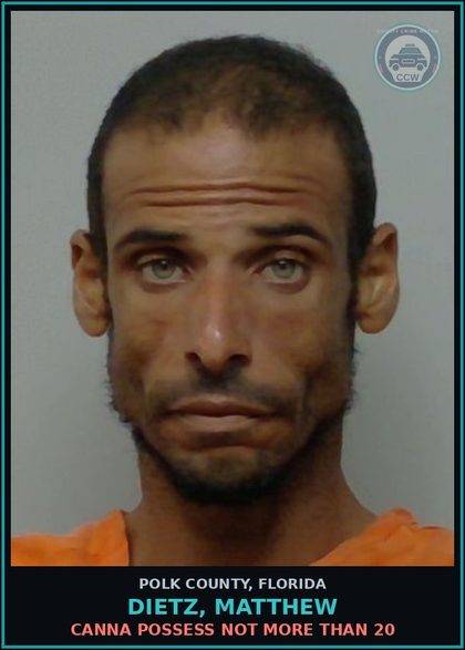CCW arrest card for DIETZ, MATTHEW in Polk County: Canna POSSESS Not More Than 20