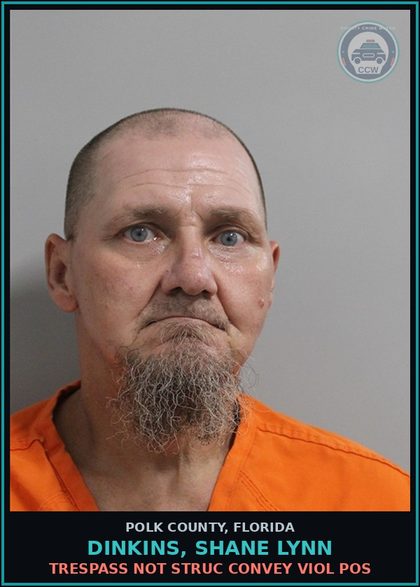 CCW arrest card for DINKINS, SHANE LYNN in Polk County: Trespass Not Struc Convey Viol Pos