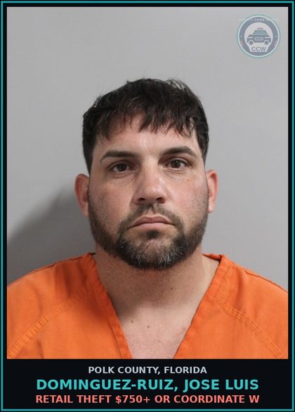 CCW arrest card for DOMINGUEZ-RUIZ, JOSE LUIS in Polk County: Retail Theft $750+ Or Coordinate W