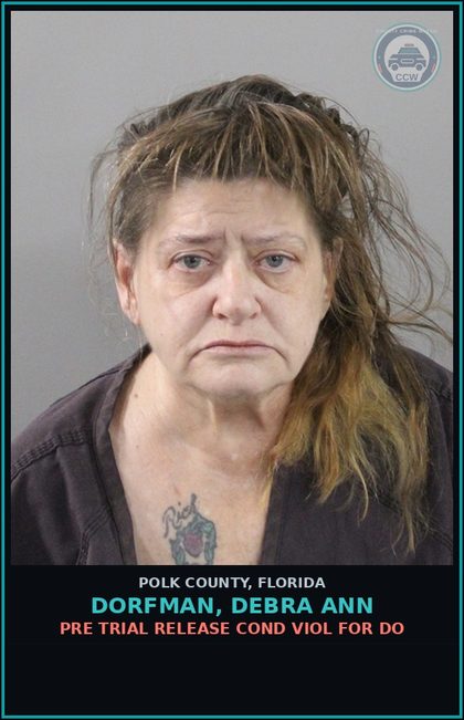 CCW arrest card for DORFMAN, DEBRA ANN in Polk County: Pre Trial Release Cond Viol For Do