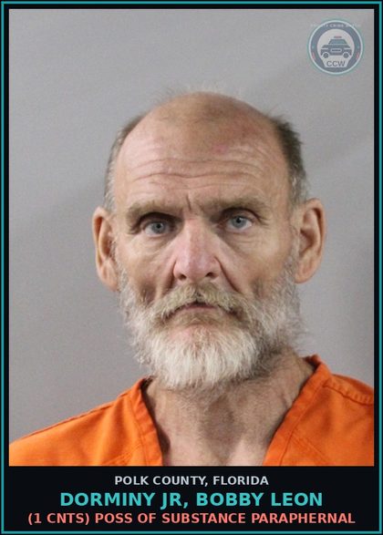 CCW arrest card for DORMINY JR, BOBBY LEON in Polk County: TAMPERING WITH PHYSICAL EVIDENCE