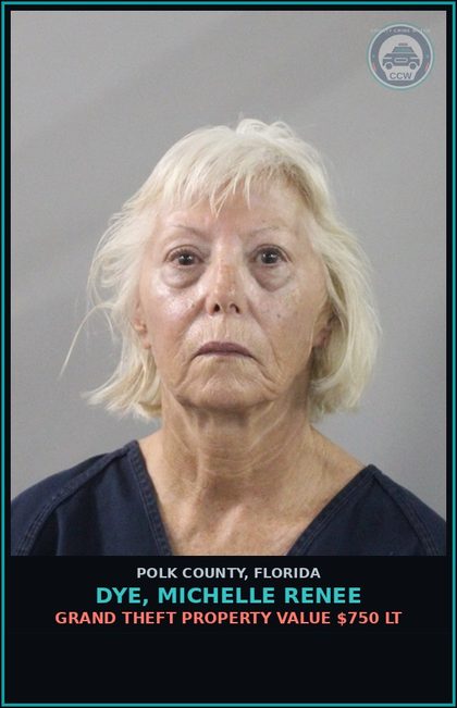 CCW arrest card for DYE, MICHELLE RENEE in Polk County: Grand Theft Property Value $750 LT