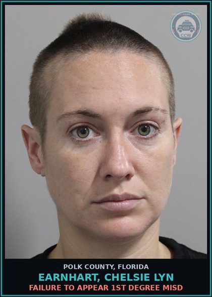 CCW arrest card for EARNHART, CHELSIE LYN in Polk County: FAILURE TO APPEAR 1st Degree Misd