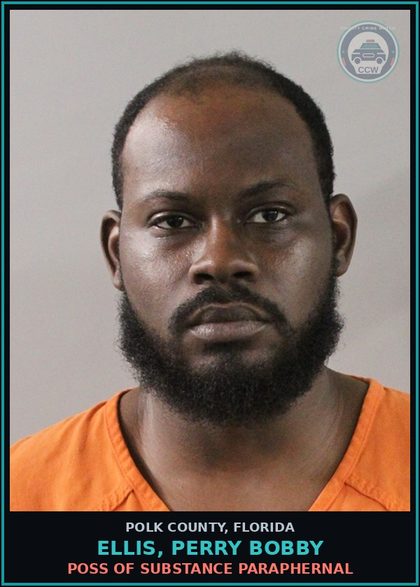 CCW arrest card for ELLIS, PERRY BOBBY in Polk County: Canna POSSESS Not More Than 20