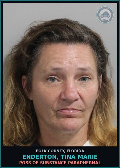 CCW arrest card for ENDERTON, TINA MARIE in Polk County: Information Non Criminal Offense
