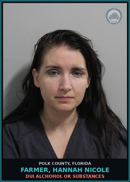 CCW arrest card for FARMER, HANNAH NICOLE in Polk County: DUI Alchohol or Drugs