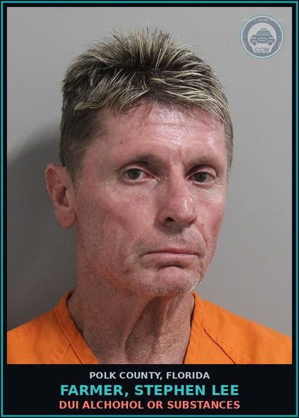 CCW arrest card for FARMER, STEPHEN LEE in Polk County: Canna POSSESS Not More Than 20