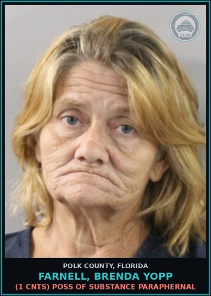 CCW arrest card for FARNELL, BRENDA YOPP in Polk County: (1 cnts) DRUGS Keep Shop Veh Etc For Drugs 1st Viol
