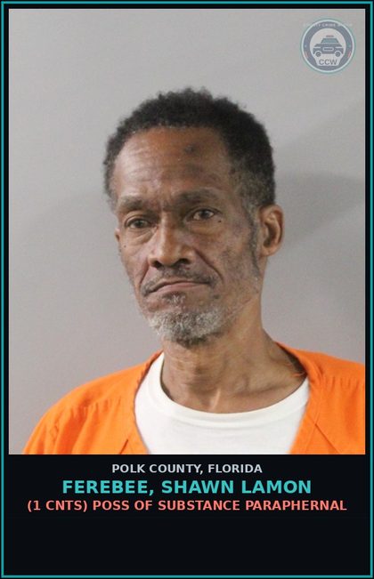 CCW arrest card for FEREBEE, SHAWN LAMON in Polk County: Resist Officer without Violence