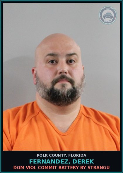 CCW arrest card for FERNANDEZ, DEREK in Polk County: Dom Viol Commit Battery by Strangu