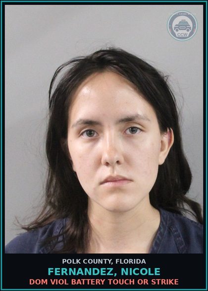 CCW arrest card for FERNANDEZ, NICOLE in Polk County: Dom Viol Battery Touch or Strike