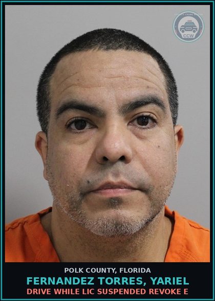CCW arrest card for FERNANDEZ TORRES, YARIEL in Polk County: Drive While Lic Suspended Revoke E