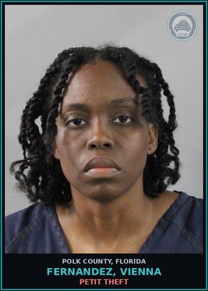 CCW arrest card for FERNANDEZ, VIENNA in Polk County: Petit Theft