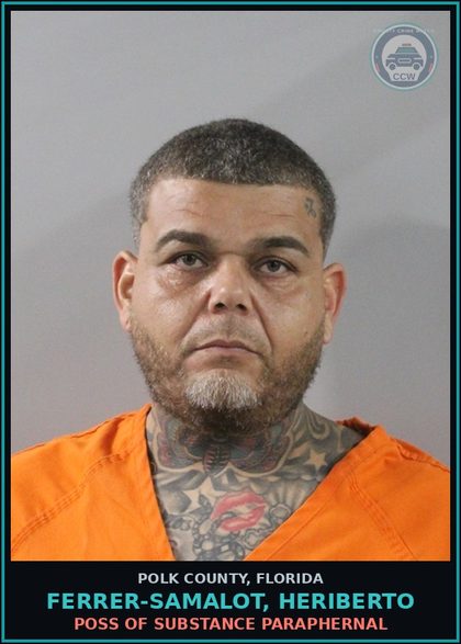 CCW arrest card for FERRER-SAMALOT, HERIBERTO in Polk County: Canna POSSESS Not More Than 20