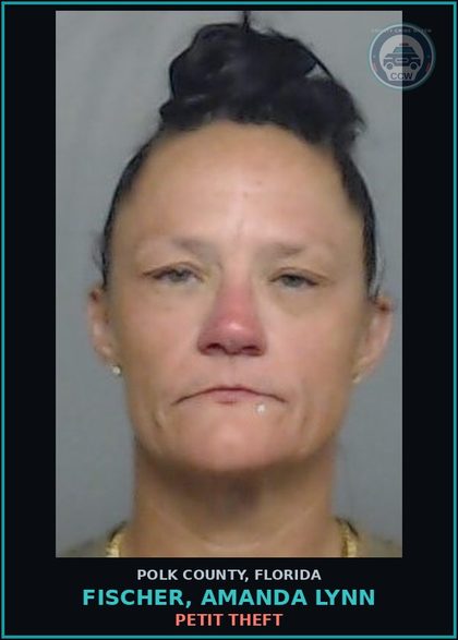 CCW arrest card for FISCHER, AMANDA LYNN in Polk County: Information Non Criminal Offense