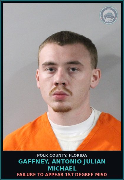 CCW arrest card for GAFFNEY, ANTONIO JULIAN MICHAEL in Polk County: FAILURE TO APPEAR 1st Degree Misd