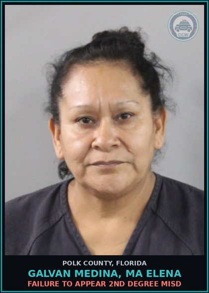 CCW arrest card for GALVAN MEDINA, MA ELENA in Polk County: FAILURE TO APPEAR 2nd Degree Misd