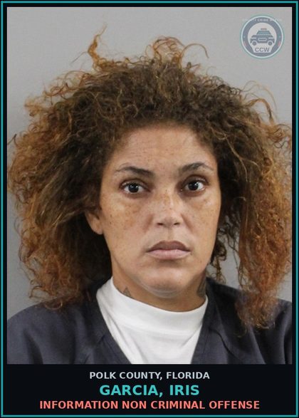 CCW arrest card for GARCIA, IRIS in Polk County: Information Non Criminal Offense