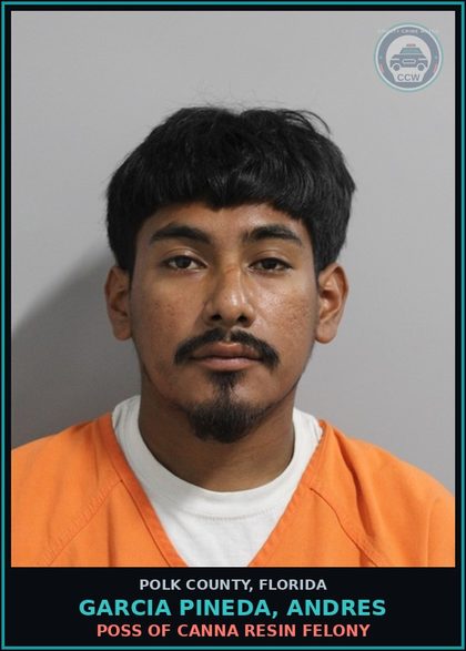 CCW arrest card for GARCIA PINEDA, ANDRES in Polk County: Canna POSSESS Not More Than 20