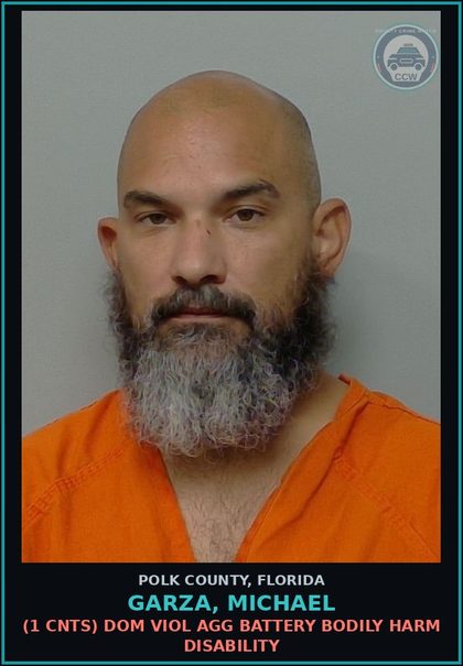 CCW arrest card for GARZA, MICHAEL in Polk County: (1 cnts) DOM VIOL AGG BATTERY BODILY HARM DISABILITY