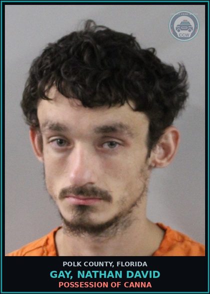 CCW arrest card for GAY, NATHAN DAVID in Polk County: POSSESSION OF Canna