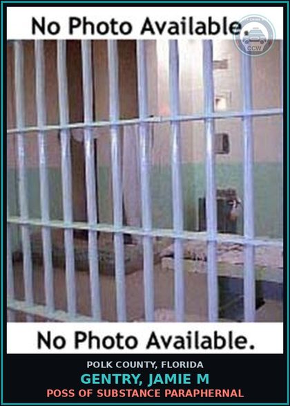 CCW arrest card for GENTRY, JAMIE M in Polk County: Canna POSSESS Not More Than 20