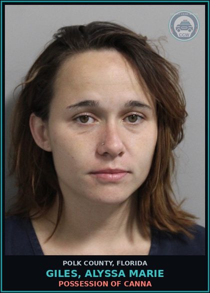 CCW arrest card for GILES, ALYSSA MARIE in Polk County: POSSESSION OF Canna