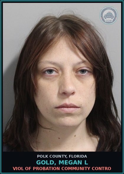 CCW arrest card for GOLD, MEGAN L in Polk County: Viol of Probation Community Contro