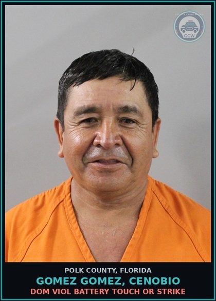 CCW arrest card for GOMEZ GOMEZ, CENOBIO in Polk County: Dom Viol Battery Touch or Strike