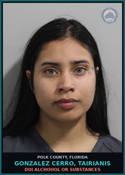 CCW arrest card for GONZALEZ CERRO, TAIRIANIS in Polk County: DUI Alchohol or Drugs
