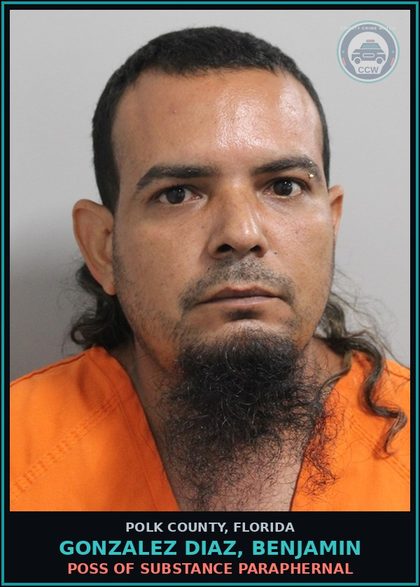CCW arrest card for GONZALEZ DIAZ, BENJAMIN in Polk County: Canna POSSESS Not More Than 20
