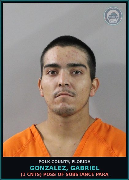 CCW arrest card for GONZALEZ, GABRIEL in Polk County: (1 cnts) WAOJ HILLSBOROUGH CO FTA NO VALID DL