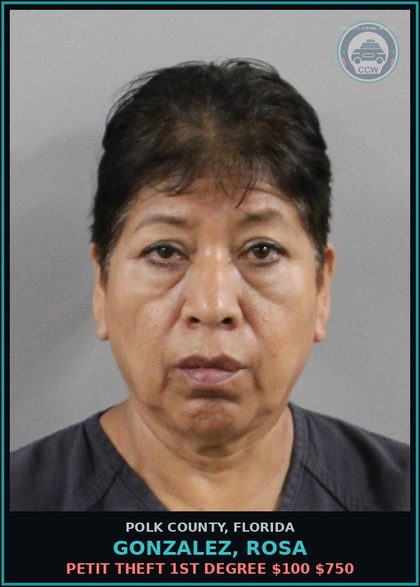 CCW arrest card for GONZALEZ, ROSA in Polk County: Petit Theft 1st Degree $100 $750