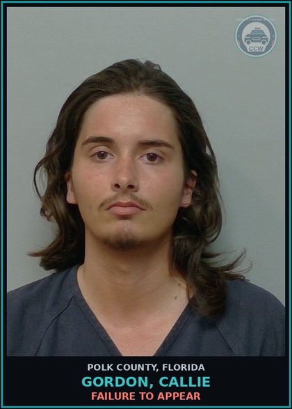 CCW arrest card for GORDON, CALLIE in Polk County: FAILURE TO APPEAR