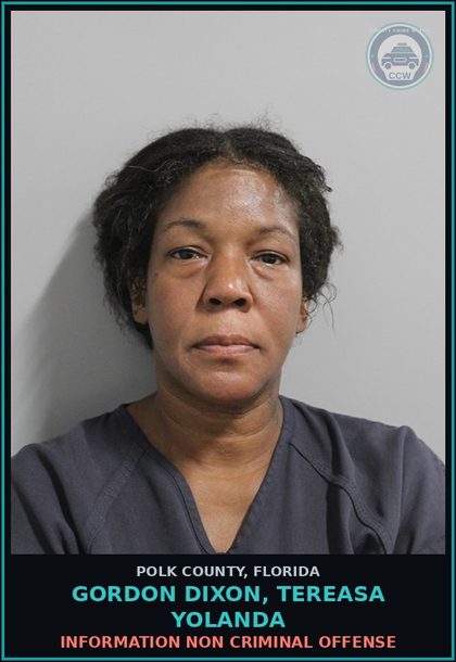 CCW arrest card for GORDON DIXON, TEREASA YOLANDA in Polk County: Information Non Criminal Offense