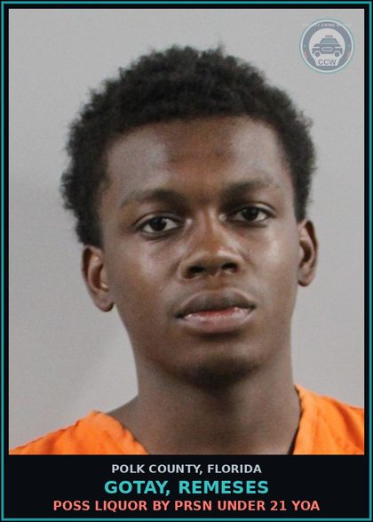 CCW arrest card for GOTAY, REMESES in Polk County: (1 cnts) PETIT THEFT