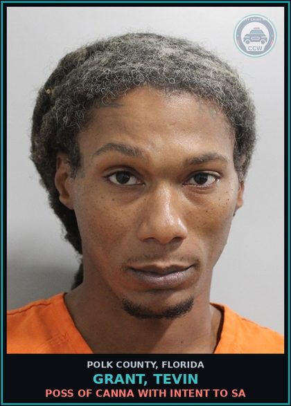 CCW arrest card for GRANT, TEVIN in Polk County: Canna POSSESS Over 20 Grams